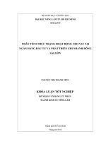 PHÂN TÍCH THỰC TRẠNG HOẠT ĐỘNG CHO VAY TẠI NGÂN HÀNG ĐẦU TƯ VÀ PHÁT TRIỂN CHI NHÁNH ĐÔNG SÀI GÒN
