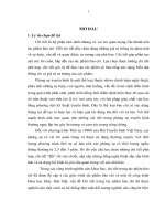 Thạc sĩ báo chí học sử dụng chi tiết trong phóng sự truyền hình của chương trình thời sự 19h00 đài truyền hình việt nam