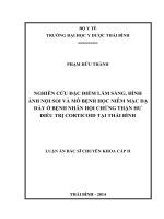 Nghiên cứu đặc điểm lâm sàng, hình ảnh nội soi và mô bệnh học niêm mạc dạ dày ở bệnh nhân hội chứng thận hư điều trị corticoid tại thái bình 