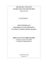 PHÂN TÍCH HIỆU QUẢ HOẠT ĐỘNG SẢN XUẤT KINH DOANH CỦA CÔNG TY CỔ PHẦN THƯƠNG MẠI MISA