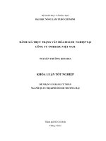 ĐÁNH GIÁ THỰC TRẠNG VĂN HÓA DOANH NGHIỆP TẠI CÔNG TY TNHH IDG VIỆT NAM