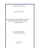 HOÀN THIỆN CHIẾN LƯỢC MARKETING SẢN PHẨM ĐỒ GỖ THỊ TRƯỜNG NỘI ĐỊA CỦA CÔNG TY CỔ PHẦN NAM VIỆT
