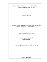 Bảo vệ quyền lợi người tiêu dùng bằng pháp luật cạnh tranh ở việt nam hiện nay 