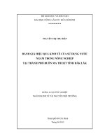 ĐÁNH GIÁ HIỆU QUẢ KINH TẾ CỦA SỬ DỤNG NƯỚC NGẦM TRONG NÔNG NGHIỆP TẠI THÀNH PHỐ BUÔN MA THUỘT TỈNH ĐĂK LĂK