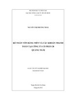 KẾ TOÁN VỐN BẰNG TIỀN VÀ CÁC KHOẢN THANH TOÁN TẠI CÔNG TY CỔ PHẦN 28 QUẢNG NGÃI