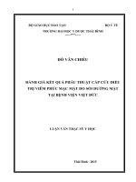 Đánh giá kết quả phẫu thuật cấp cứu điều trị viêm phúc mạc mật do sỏi đường mật tại bệnh viện việt đức 