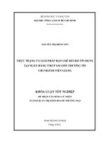 THỰC TRẠNG VÀ GIẢI PHÁP HẠN CHẾ RỦI RO TÍN DỤNG TẠI NGÂN HÀNG TMCP SÀI GÒN THƯƠNG TÍN CHI NHÁNH TIỀN GIANG