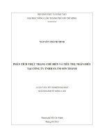 PHÂN TÍCH THỰC TRẠNG CHẾ BIẾN VÀ TIÊU THỤ NHÂN ĐIỀU TẠI CÔNG TY TNHH SXTM SƠN THÀNH