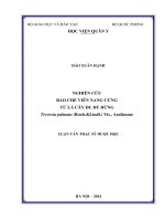 Nghiên cứu bào chế viên nang cứng từ lá cây đu đủ rừng 