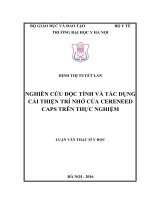 Nghiên cứu độc tính và tác dụng cải thiện trí nhớ của cereneed caps trên thực nghiệm 