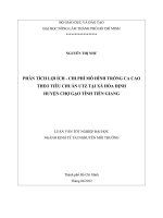 PHÂN TÍCH LỢI ÍCH  CHI PHÍ MÔ HÌNH TRỒNG CA CAO THEO TIÊU CHUẨN UTZ TẠI XÃ HÒA ĐỊNH HUYỆN CHỢ GẠO TÌNH TIỀN GIANG