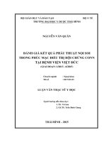 Vai trò của siêu âm nội soi và kết quả phẫu thuật ung thư biểu mô dạ dày 