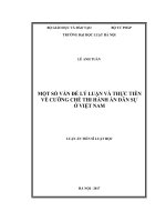 Một số vấn đề lý luận và thực tiễn về cưỡng chế thi hành án dân sự ở việt nam  