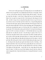 Tieu luan luat kinh tế vấn đề  vi phạm về quyền tác giả nói riêng và quyền sở hữu trí tuệ ở nước ta hiện nay