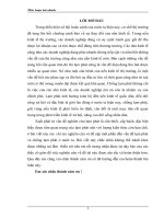 tieu luan tai chinh vấn đề lạm phát và chống lạm phát ở nước ta