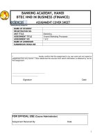 Report Marketing (Assignment 1)