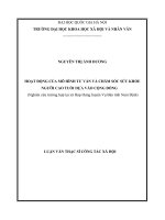 HOẠT ĐỘNG của mô HÌNH tư vấn và CHĂM sóc sức KHỎE NGƯỜI CAO TUỔI dựa vào CỘNG ĐỒNG