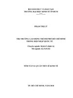 Thị trường lao động thành phố hồ chí minh trong hội nhập quốc tế tt 