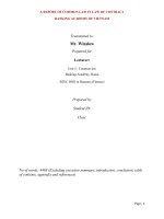 report Common Law (Assignment 1) (Luật)