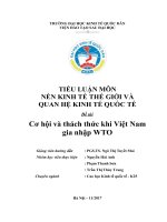Tiểu luận môn nền kinh tế thế giới và quan hệ kinh tế quốc tế cơ hội và thách thức khi việt nam gia nhập WTO 