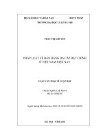 Pháp luật về bán hàng đa cấp bất chính ở việt nam hiện nay 