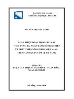 Hoàn thiện hoạt động cho vay tiêu dùng tại ngân hàng nông nghiệp và phát triển nông thôn việt nam   chi nhánh quận cẩm lệ đà nẵng (tt) 