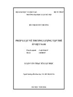 Pháp luật về thương lượng tập thể ở việt nam 