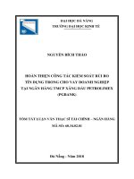 Hoàn thiện công tác kiểm soát rủi ro tín dụng trong cho vay doanh nghiệp tại ngân hàng TMCP xăng dầu petrolimex (PGBANK) (tt) 