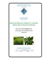 Luận văn khảo sát hiệu quả trích ly catechin trong trà tươi bằng ethanol 