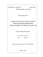 Vấn đề sử dụng năng lượng nguyên tử nhằm mục đích hòa bình trong pháp luật quốc tế và pháp luật việt nam 