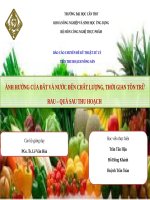ẢNH HƯỞNG CỦA ĐẤT VÀ NƯỚC ĐẾN CHẤT LƯỢNG, THỜI GIAN TỒN TRỮ RAU – QUẢ SAU THU HOẠCH