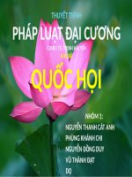 slide bài thuyết trình nhóm môn pháp luật đại cương ( quốc hội) 