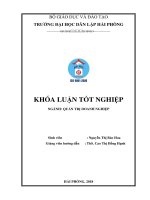 Một số biện pháp nhằm nâng cao hiệu quả kinh doanh của Công ty Cổ phần Du lịch Dịch vụ Hải Phòng (Khóa luận tốt nghiệp)