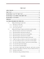 Tác động của chính sách ưu đãi thuế thu nhập DN vốn đầu tư nước ngoài đến NLCT của Samsung Electronics Việt Nam