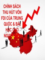 Chính sách thu hút FDI của trung quốc và bài học cho việt nam 