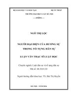 Người đại diện của đương sự trong tố tụng dân sự  