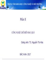 công nghệ chế biến rau quả