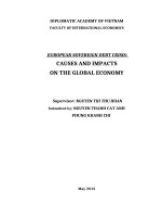 tiểu luận causes and impacts of the european sovereign debt crisis on the global economy 
