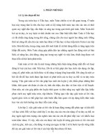 SKKN Đoá (2016-2017)