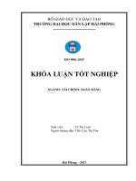 Một số giải pháp nâng cao chất lượng hoạt động tín dụng tại Ngân hàng Liên doanh Việt – Nga Hải Phòng (Khóa luận tốt nghiệp)
