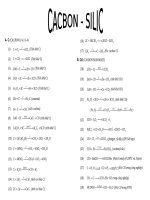 Tổng quát các Phương trình cacbon sillic
