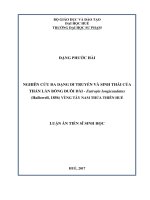 Nghiên cứu đa dạng di truyền và sinh thái của Thằn lằn bóng đuôi dài  Eutropis longicaudatus (Hallowell, 1856) vùng Tây Nam Thừa Thiên Huế (Luận án tiến sĩ)