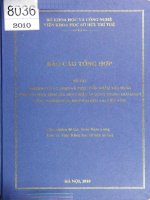 Nghiên cứu lý luận và thực tiễn nhằm xây dựng phương pháp định giá nhãn hiệu áp dụng trong giai đoạn công nghiệp hóa, hiện đại hóa tại Việt Nam