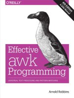 Effective awk programming universal text processing and pattern matching   arnold robbins 