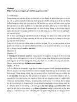 Phân rã phóng xạ và nguồn gốc của bức xạ gamma và tia X