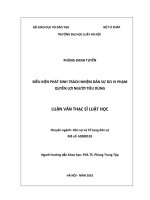 Điều kiện phát sinh trách nhiệm dân sự do vi phạm quyền lợi người tiêu dùng  