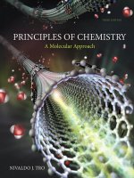 Principles of chemistry a molecular approach 3rd ed nivaldo tro  2016