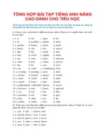 HOT Tổng hợp bài tập TIẾNG ANH NÂNG CAO DÀNH CHO TIỂU HỌC