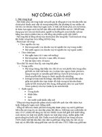 Tiểu luận nợ công của mỹ 