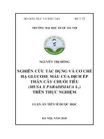 Nghiên cứu tác dụng và cơ chế hạ glucose máu của dịch ép thân cây chuối tiêu (musa x paradisiaca l ) trên thực nghiệm 